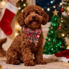 UP URARA PUP warm soft fabric offers comfortable wear in cold months.