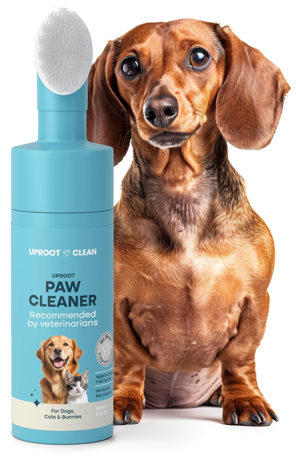 Uproot Clean dog paw cleaner in action after muddy walk, mess-free paws.