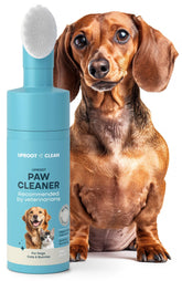 Uproot Clean dog paw cleaner in action after muddy walk, mess-free paws.