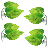 URATOT betta leaf pad packs provide natural resting habitat for bettas