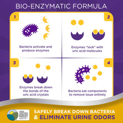 Urine Off bio-enzymatic action graphic illustrates uric acid targeting