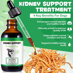 Uruses Pet Kidney Support pour demonstrates easy dosing into water or food.