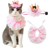 Ushang Pet cat crown close-up for birthday photos