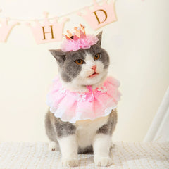 Ushang Pet pink party scene with pets ready to celebrate