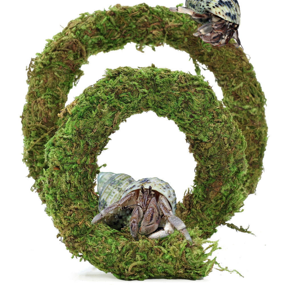 USMOLA bendable moss vine 20inch offers adjustable climbing paths for hermit crabs.