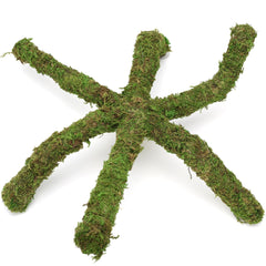 USMOLA Climbing vine wrapped around decor encourages exploration for small pets.