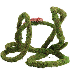 USMOLA Moss Vine durable flexible climber supports active terrarium use