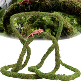 USMOLA Moss Vine natural terrarium with enrichment