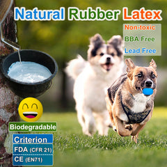 UTOMING small dog play fetch – ideal for Chihuahua and Yorkie active play.