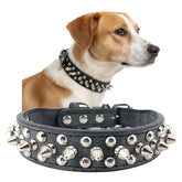 UVONOKAY Spiked Collar close-up showing chrome round studs for bold style and deterrence.