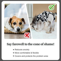 V.PET.B.R dog surgery recovery suit demonstrates easy-to-use magic tapes for quick dressing.