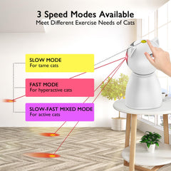 Valonii cat toys 3-speed-modes adapt to different energy levels.