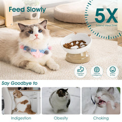 Vancasso anti-slip base cat feeder minimizes tipping during meals.