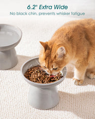 Vancasso elevated cat bowls height 5.1 inches grey - promotes comfortable feeding posture
