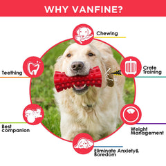 VANFINE Indestructible Squeaky Dog Toy outdoor-use durability test