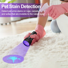 Vansky pet urine stain detector reveals dry spots before cleaning.
