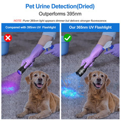 Vansky X7 Pro 365nm UV flashlight highlights fluorescent minerals for rock hunting.