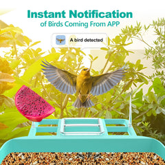 Vatjubi Bird Feeder with Camera IP65 housing withstands rain and outdoor use.