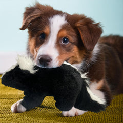 Vaulted Skulls & Co skunk toy black and white color for realistic, appealing fetch