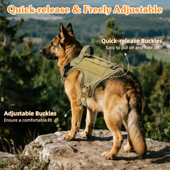 VavoPaw front no-pull D-ring enables precise guidance during walks.