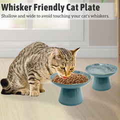 VCEPJH wide shallow bowl image demonstrates whisker fatigue reduction during meals.