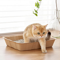 Vealind recycled paper litter box relying on eco-friendly materials for daily pet routines.
