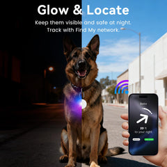 Vebiso dog light showing emergency RGB flash for high-visibility alerts.