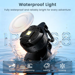 Vebiso IP68 waterproof dog light ready for rain and snow.