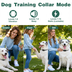 Veconix anti-bark collar with adjustable modes helps curb barking with gentle options.