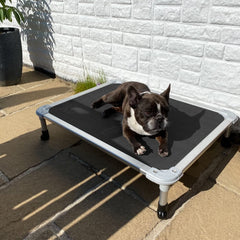 Veehoo chew-proof elevated dog bed with Textilene mesh for breathable comfort outdoors.