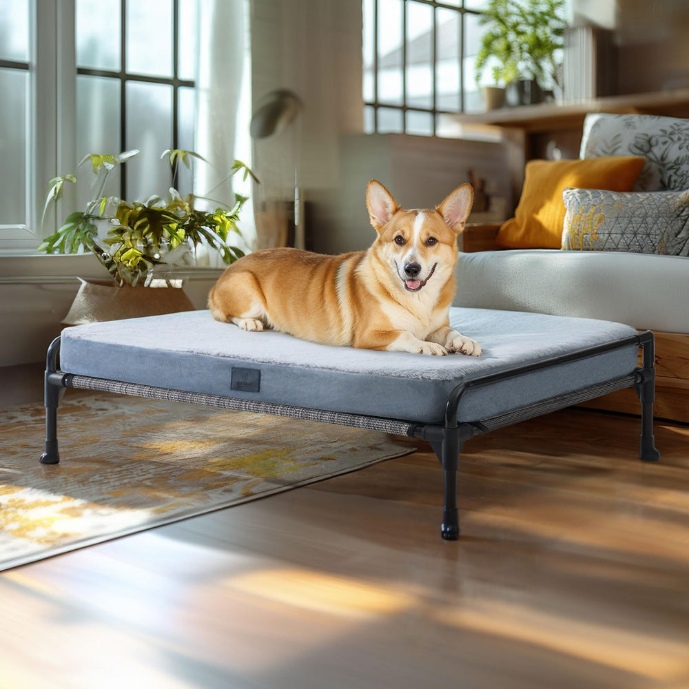 Veehoo elevated dog bed with guardrail keeps pets safe and comfy off damp floors.