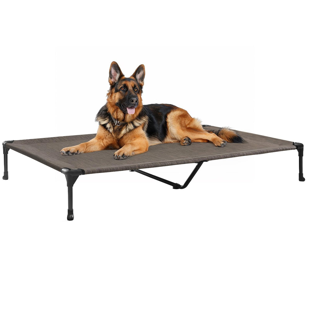 Veehoo outdoor elevated dog bed assembly view showing quick plug-in setup for easy use