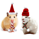 Vehomy small-animal Christmas Santa hat on hamster for festive photos.