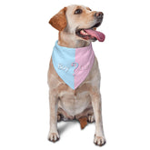 vercosee He Or She bandana blue photo prop for gender reveal moments.