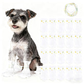 VerdiaYQHT disposable dog booties packaging for quick paw protection during outings.