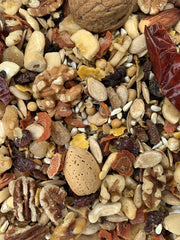 Versele-Laga VL Goldenfeast Amazon Blend seed mix closeup highlights enrichment.
