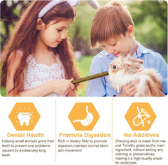 VESPRO rose hay sticks with bright color enrichment for small pets