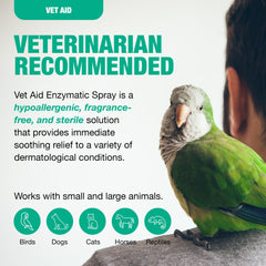 Vet Aid cat dermatitis care spray on irritated skin.