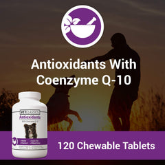 Vet Classics antioxidants chewables close-up supporting daily antioxidant health.
