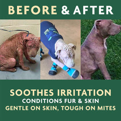 Vet Organics EcoMange cat skin-care close-up demonstrates safe use on pets.