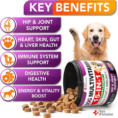 Vet Promise dog multivitamin 2-pack offers convenient daily nourishment