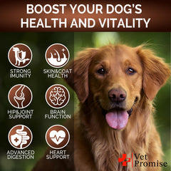 Vet Promise Mushroom for Dogs Omega-3 Salmon image showcasing skin and energy support