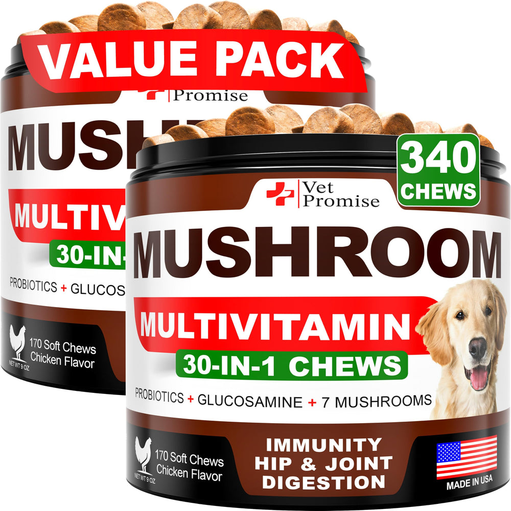 Vet Promise Mushroom for Dogs image featuring Turkey Tail, immune-support chews for daily wellness