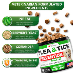 Vet Promise packaging front label confirms USA-made vet-formulated quality