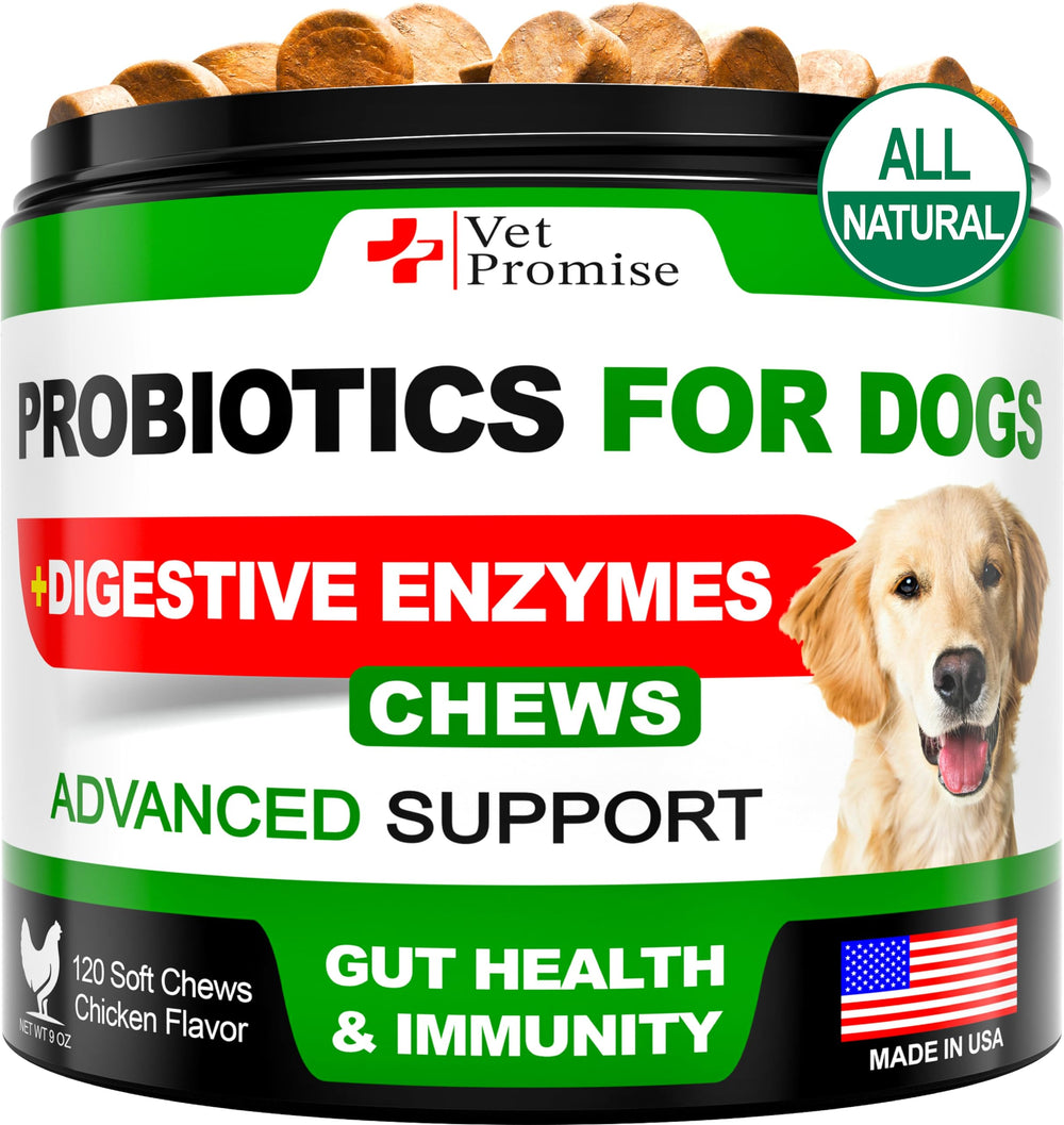 Vet Promise probiotics dog chews bottle highlights convenient gut health support.