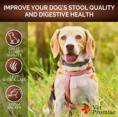 Vet Promise Super Poop Probiotics packaging close-up — USA-made, vet-formulated care.