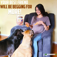 Vet Recommended chicken jerky training-treats panel, ideal for rewarding good behavior