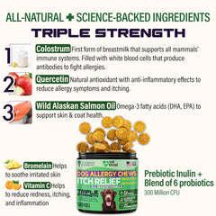 Vet Treat dog eating chews from bowl demonstrates convenient daily use.