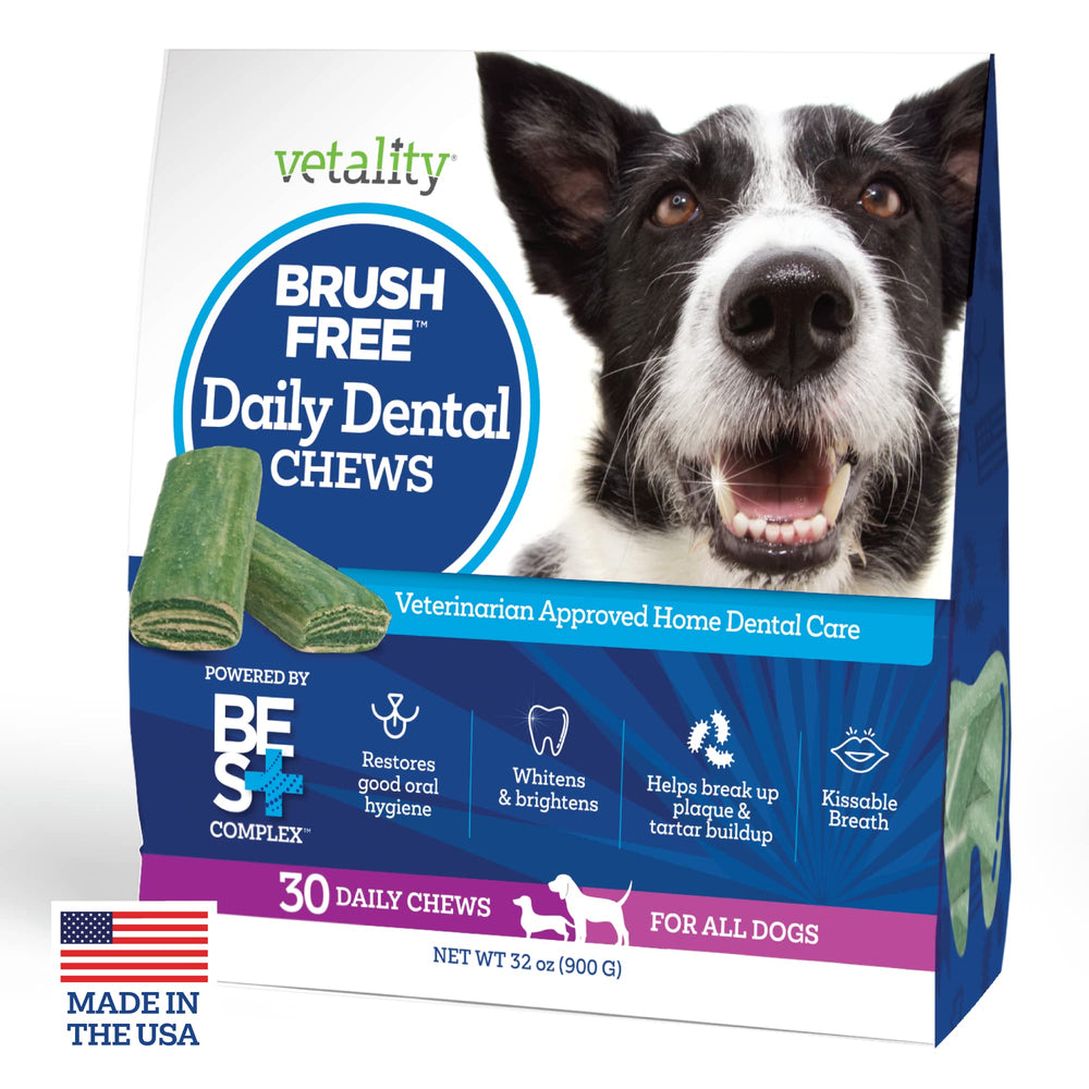 Vetality daily dental chews package ready for daily oral care