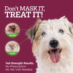 Vetality ear drops application on dog ear showing gentle use